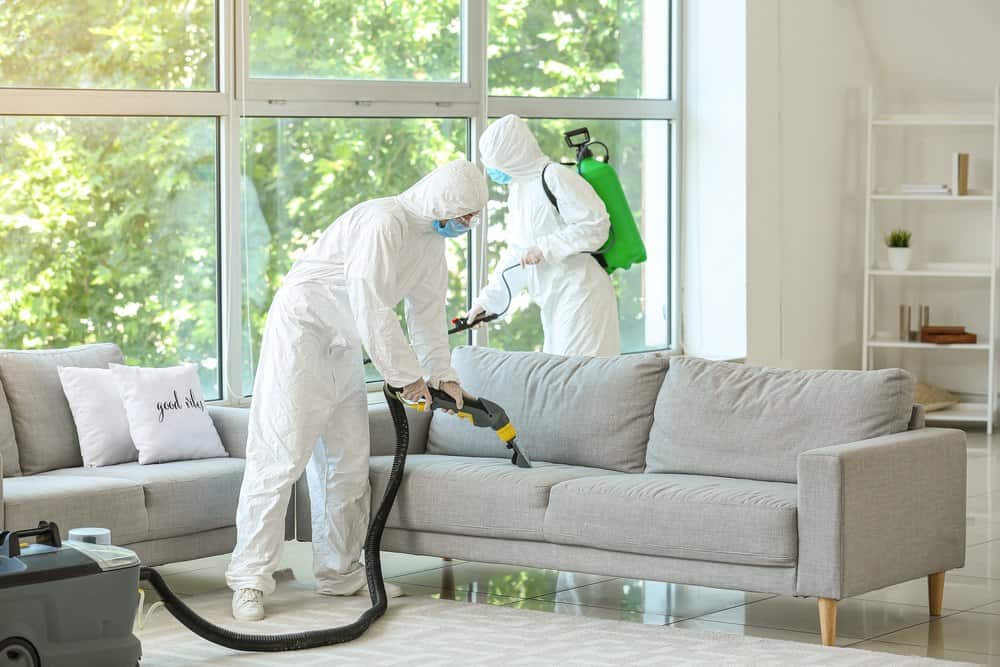 Work With Biohazard Cleanup Specialists from Scene Clean Today 