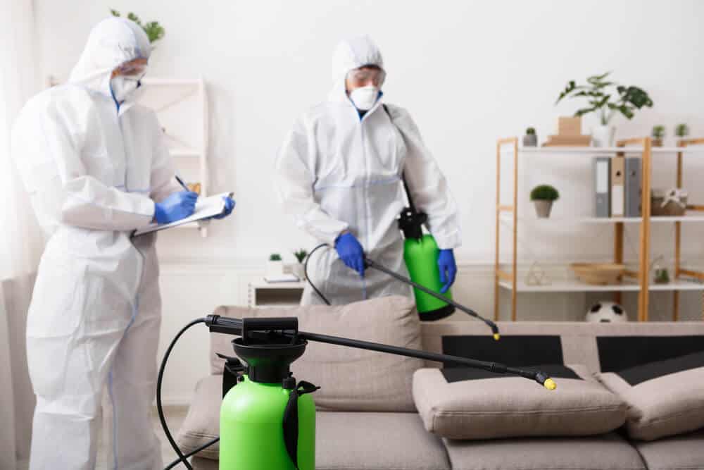 remove odor biohazard cleaning