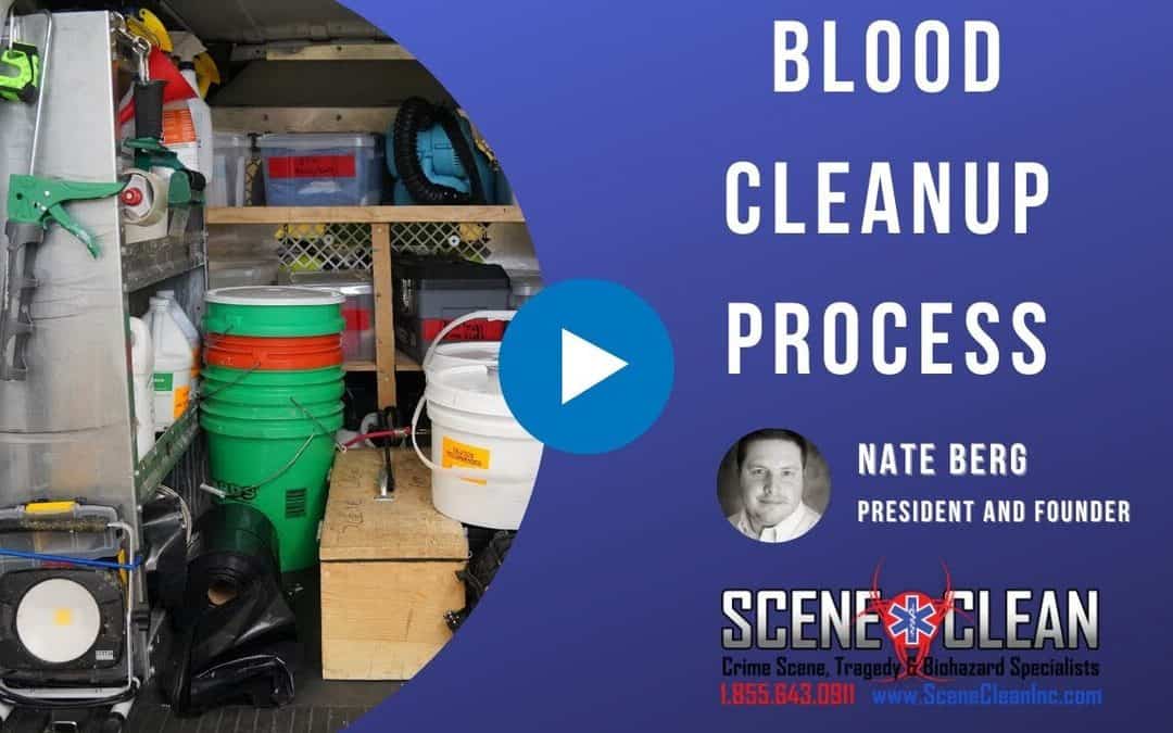 What Is Scene Clean’s Process for Blood Biohazard Cleanup?