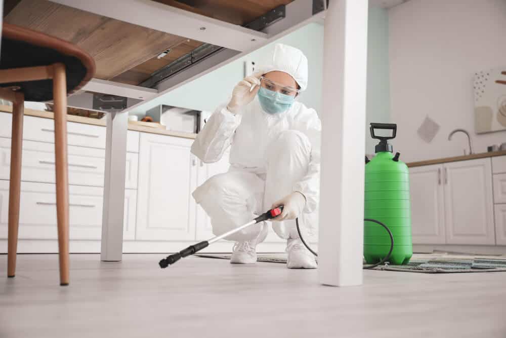 biohazard cleanup service handle odor removal