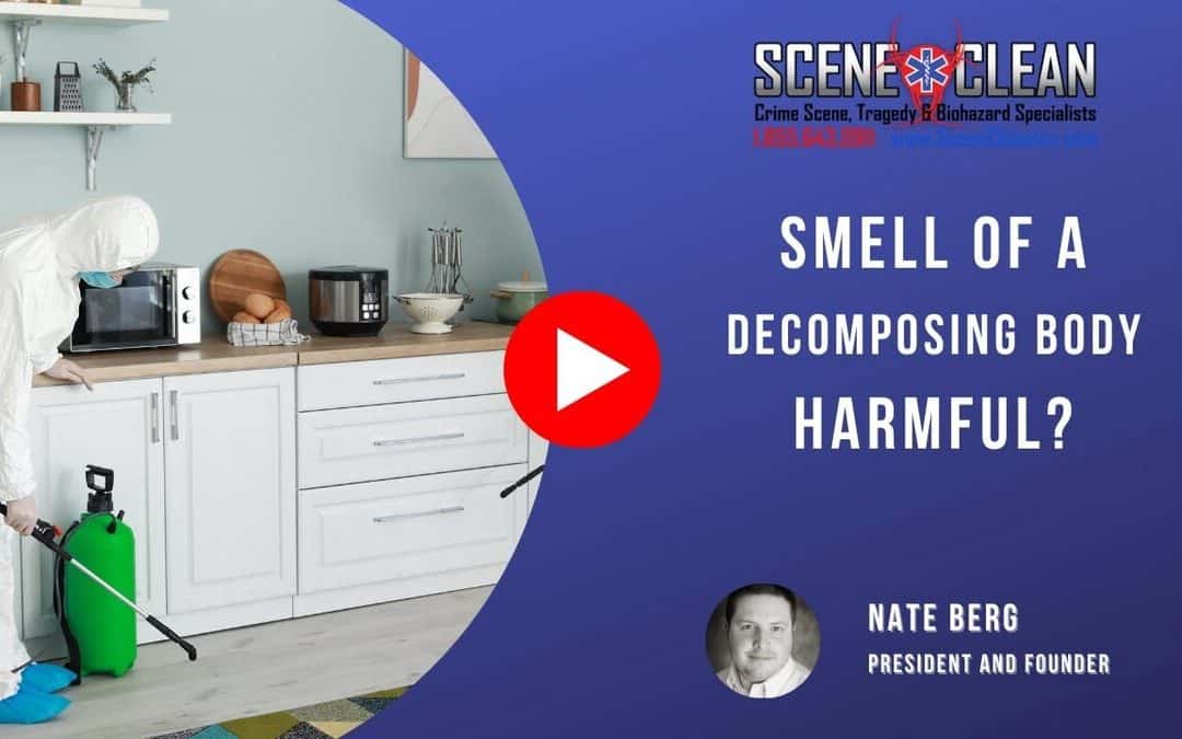 Can the Smell of a Decomposing Body Be Harmful?